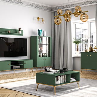 szafka 160 rtv złote nogi Forest 05 szeroka duża zielona telewizyjny stolik do pokoju salonu